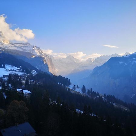 Swiss Lodge Hotel Bernerhof Wengen Zewnętrze zdjęcie