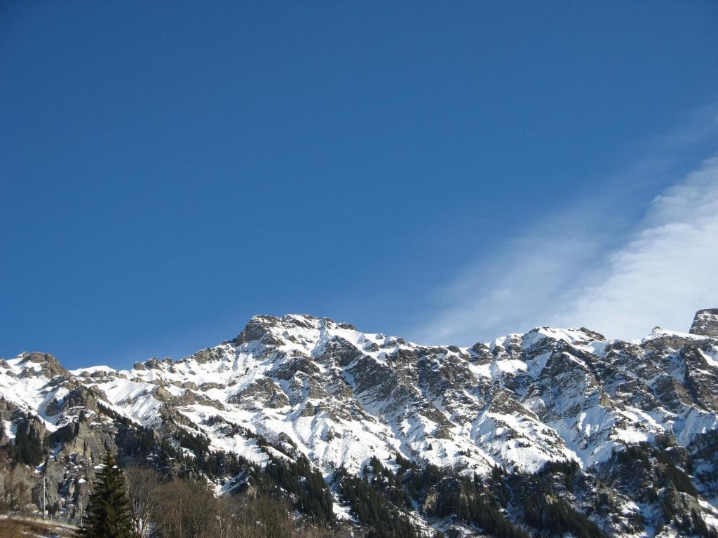 Swiss Lodge Hotel Bernerhof Wengen Zewnętrze zdjęcie